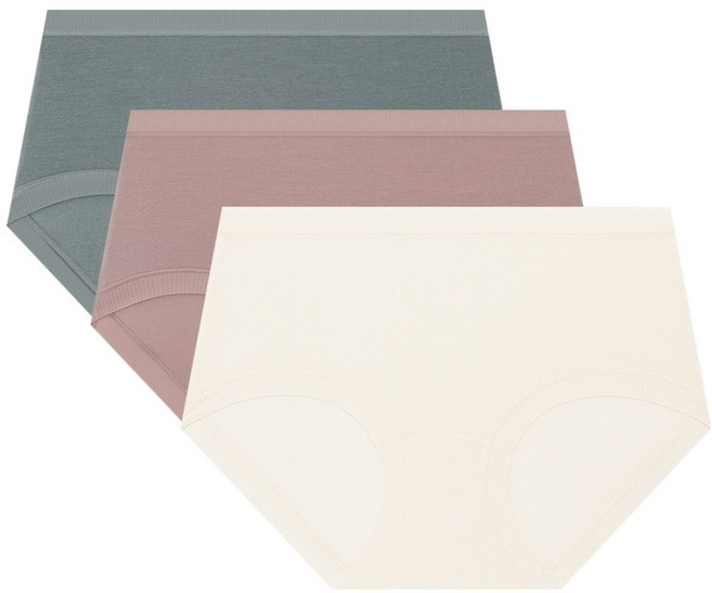 트라이엄프 모달 미디 팬티 3종 세트