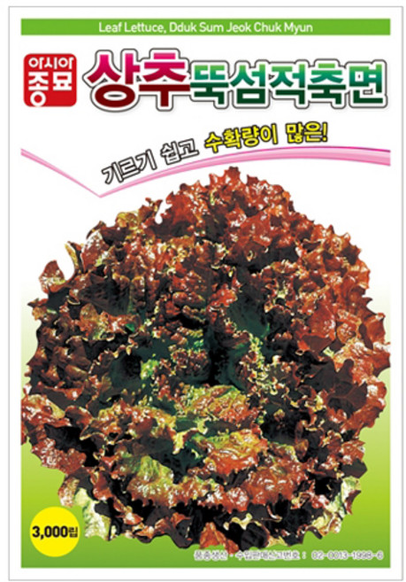 아시아종묘 뚝섬 적축면 상추 씨앗 3000p, 1개