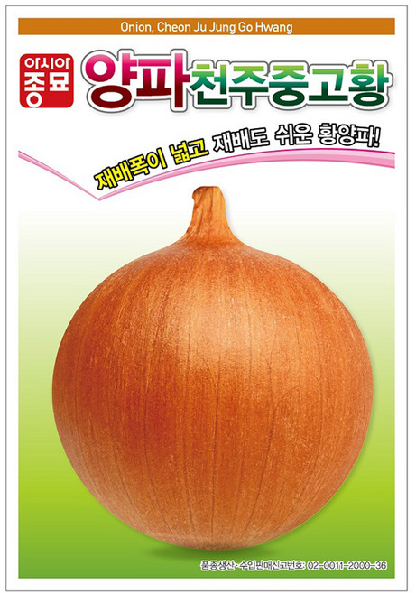 아시아종묘 양파 천주중고황 씨앗 5g, 1개