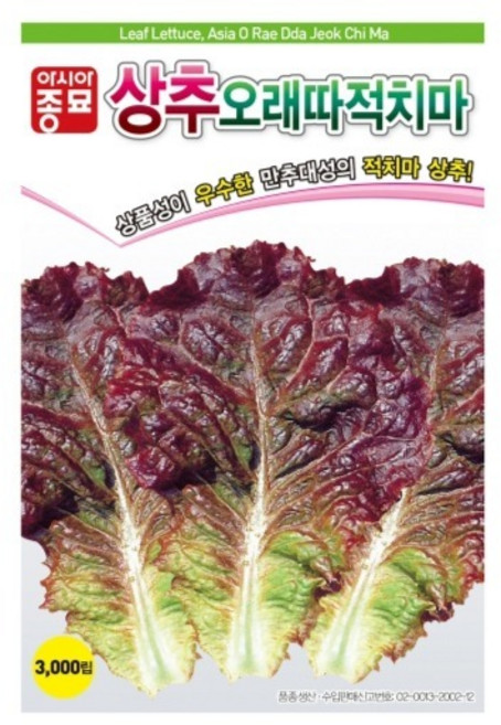 아시아종묘 씨앗 상추 오래따적치마 3000립, 1개