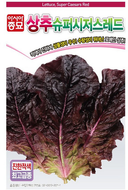 아시아종묘 상추 슈퍼시저스레드 씨앗 1000립, 1개