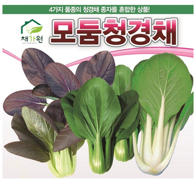 채가원 아시아종묘 모둠청경채 씨앗 2000립, 1개
