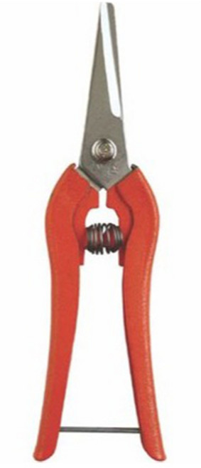 신성툴스 적과 가위 16cm 일자형, 1개