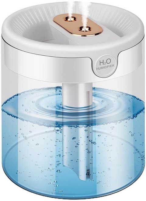AHOYE 2L雙噴頭水氧機 TYPE-C供電 加濕器/薰香機/香氛機, 單一商品, 透明