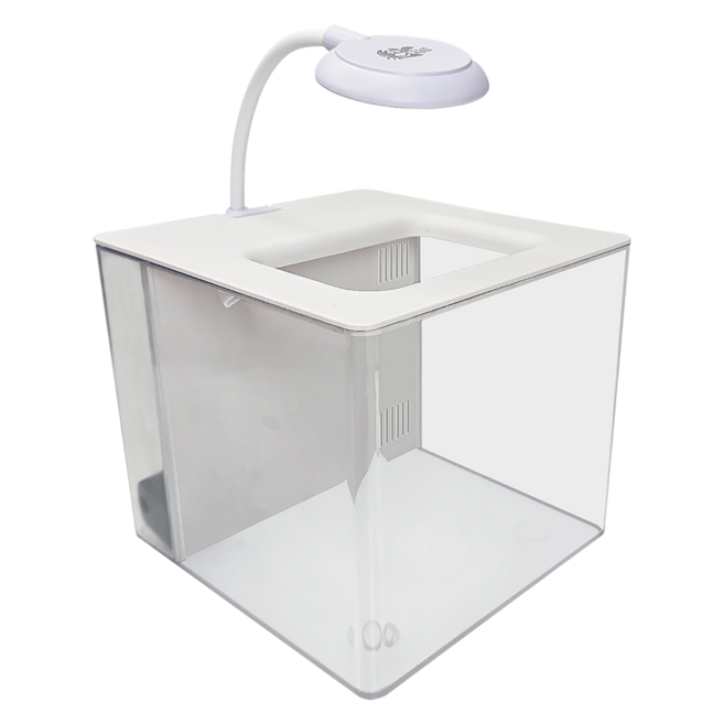 crab aqua 小螃蟹 懶人背濾缸, 白色, 1個