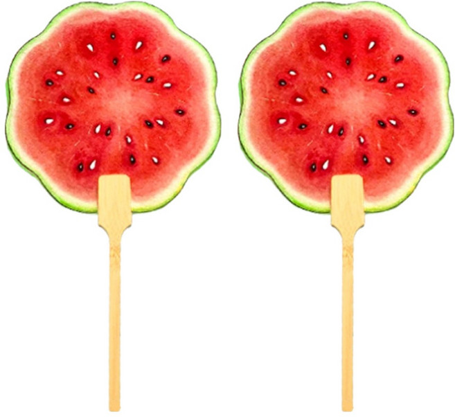 아이코어스 수박부채, 혼합색상, 2개