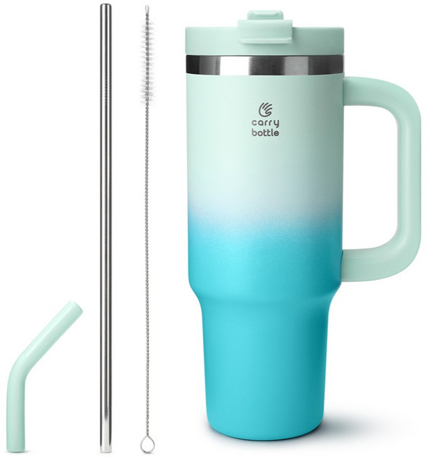 캐리보틀 써밋 텀블러, 아쿠아마린, 900ml, 1개