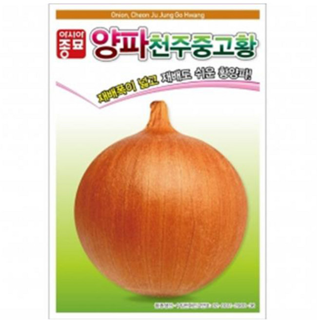 아시아종묘 천주중고황 양파 씨앗 2.5g, 1개