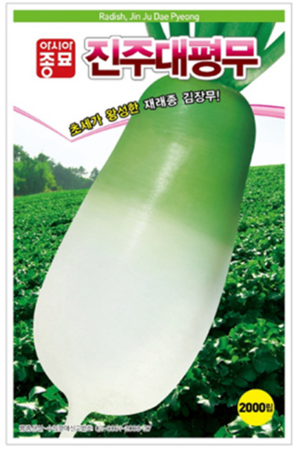 아시아종묘 씨앗 진주대평무 2000p, 1개