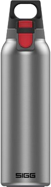 SIGG 彈蓋輕量保溫瓶, 550ml, 1個, 霧銀色
