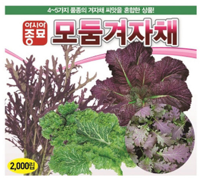 아시아종묘 씨앗 모둠겨자채 2000립, 1개