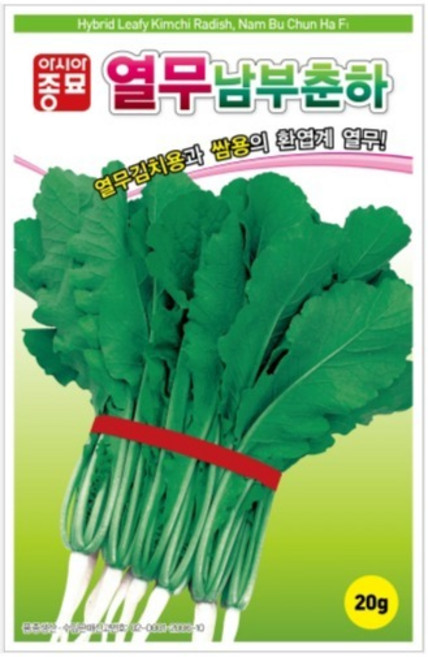 아시아종묘 열무 남부춘하 씨앗 20g, 1개