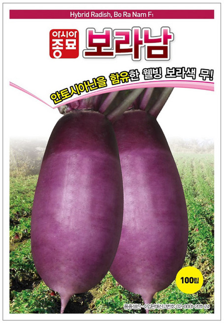 아시아종묘 보라남 무 씨앗 100립