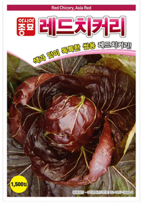 아시아종묘 치커리 레드치커리 씨앗 1500p, 1개
