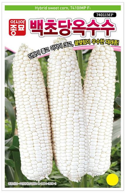 아시아종묘 백초당옥수수 씨앗, 1개