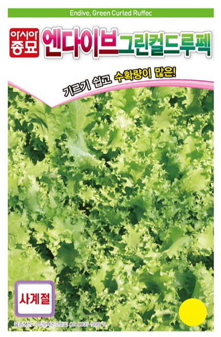 아시아종묘 엔다이브 그린컬드루펙 치커리 씨앗, 1개