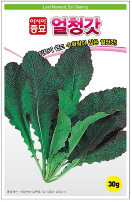 아시아종묘 씨앗 갓 얼청갓 30g, 1개