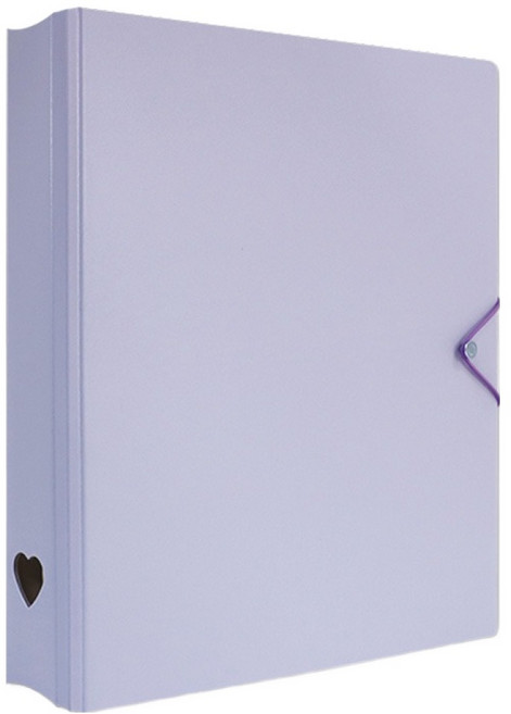 珠友文化 A4 D型夾集卡冊 有洞款 4孔, 紫色, 1個