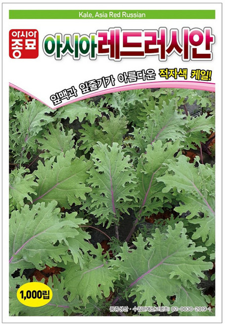아시아종묘 아시아레드러시안 케일 씨앗 1000p, 1개