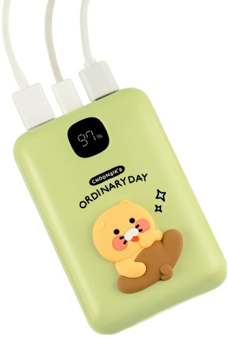 카카오프렌즈 CS 고속충전 보조배터리 20000mAh c타입, 그린, PBP-40