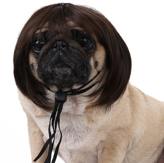 메종퓨프 반려동물 파티 생일 축하 코스튬 가발, 네츄럴 단발, 1개