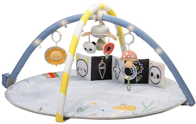 타프토이즈 판타지 블룸 짐 아기체육관, 혼합색상, 1개