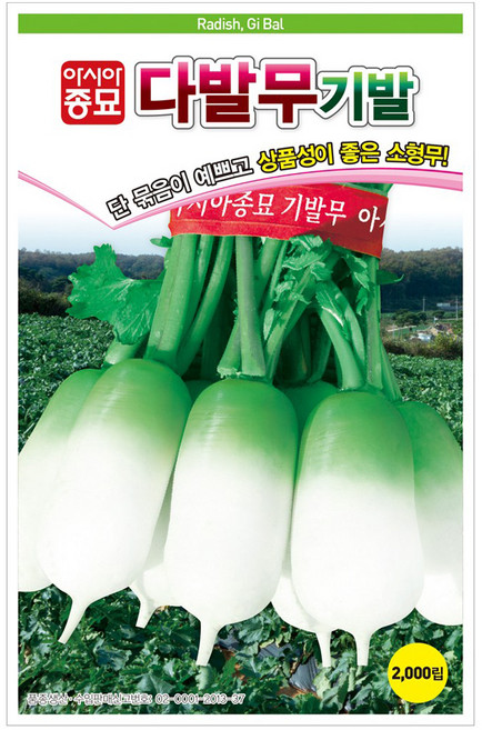 아시아종묘 알타리무 다발무기발 씨앗 2000p, 1개