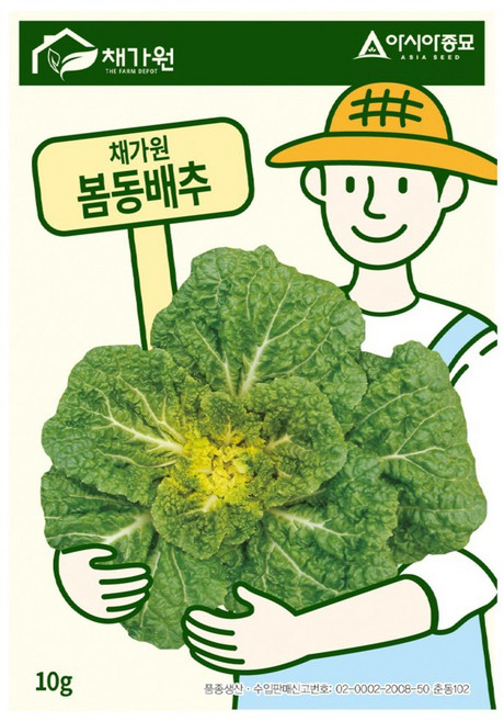 아시아종묘 씨앗 배추 봄동배추 10g, 1개