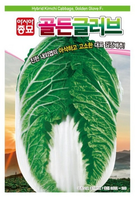 아시아종묘 씨앗 배추 골든글러브 100립, 1개, 18. 빨간배추올레드 100립
