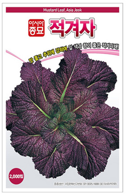 아시아종묘 적겨자 씨앗 2000p, 1개