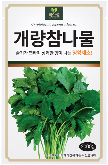다농 개량참나물 씨앗 2000립, 1개