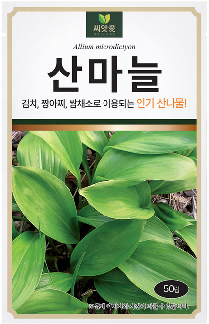 다농 산마늘 씨앗 50립, 1개