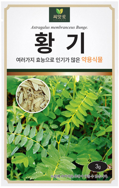 다농 황기 씨앗 3g, 1개