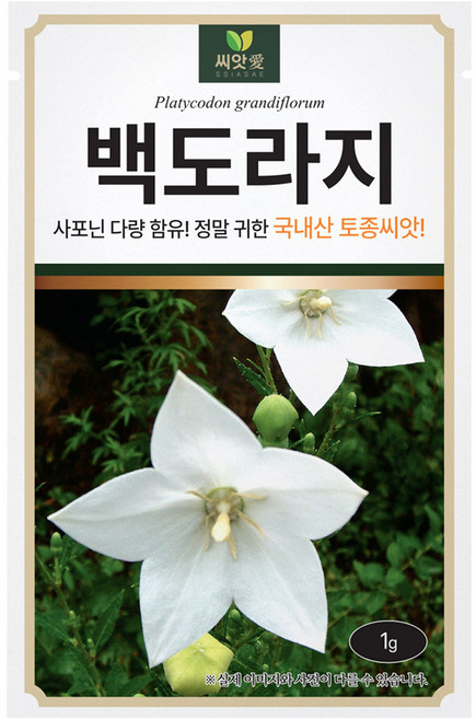 다농 백도라지 씨앗 1g, 1개