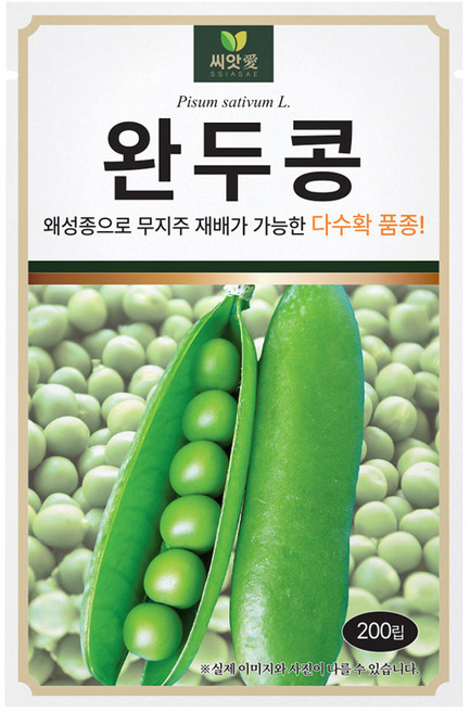 다농 완두콩 씨앗 200립, 1개