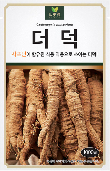 다농 더덕 씨앗 1000p, 1개