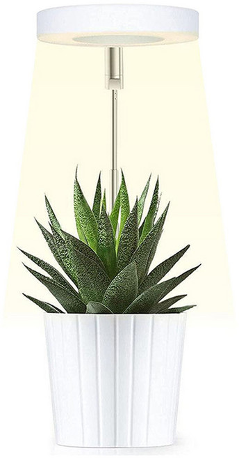 葉子小舖 多肉植物補光燈, 1個