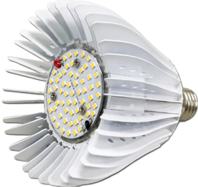 JIUNPEY 君沛光電 植物燈泡 30W E27, 全光譜 + UVA, 1個