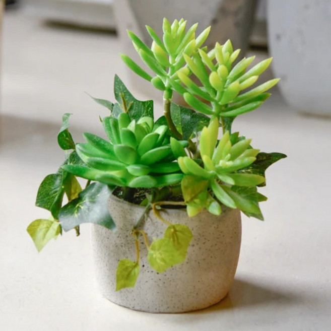 Meric Garden 高仿真多肉植物療癒手工水泥小盆栽 福娘石蓮特製款, 1個, 綠色