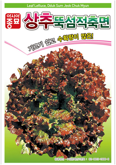 아시아종묘 상추 뚝섬적축면 씨앗 6000립, 1개