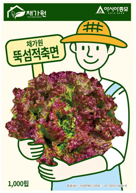 아시아종묘 상추 뚝섬적축면 씨앗 1000립, 1개