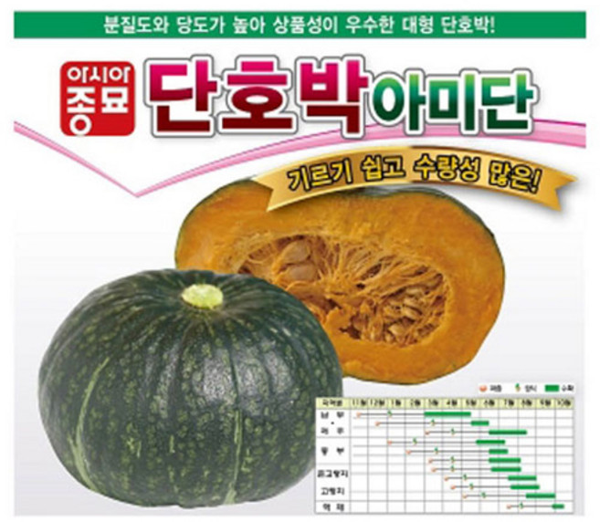 아시아종묘 단호박 아미단 씨앗 40p, 1개