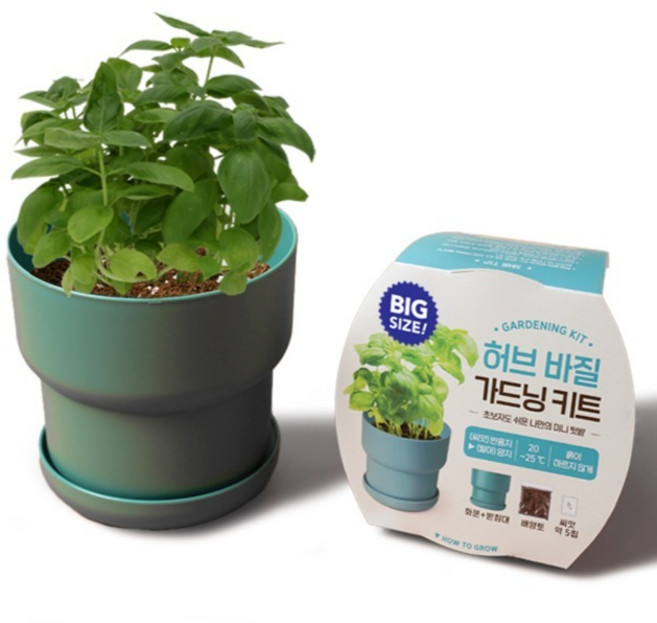 메이크정글 빅 가드닝 키트, 허브바질