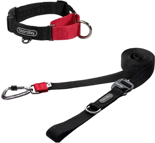 분독 강아지 플레이 카라비너 리쉬 3.2m + 마틴게일 목줄 세트, 블랙, 1세트