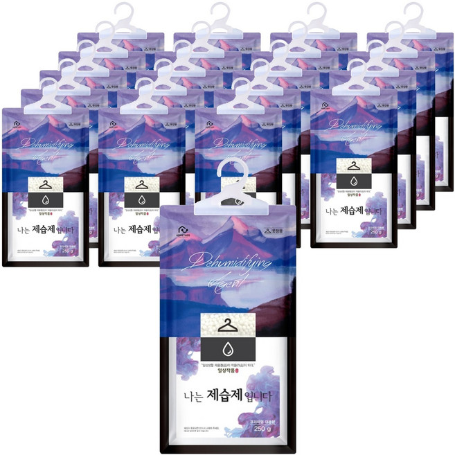 홈트너 옷장용 나는 제습제 입니다 본품, 250g, 20개