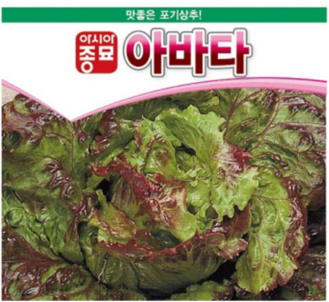 아시아종묘 아바타 상추 씨앗 1000립, 1개