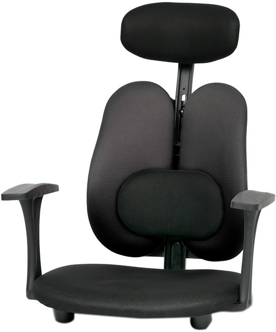 CHAIR FOCUS 機能性辦公室座椅 含靠枕 + 靠墊, 黑色