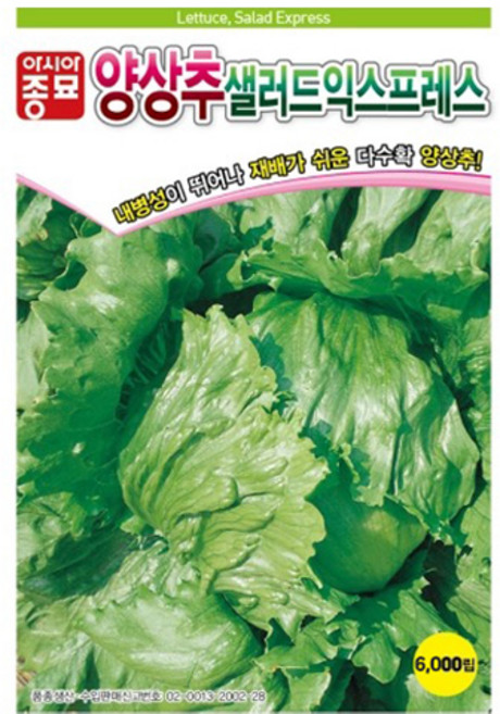 아시아종묘 양상추 샐러드 익스프레스 씨앗 LMV FREE 6000p, 1개