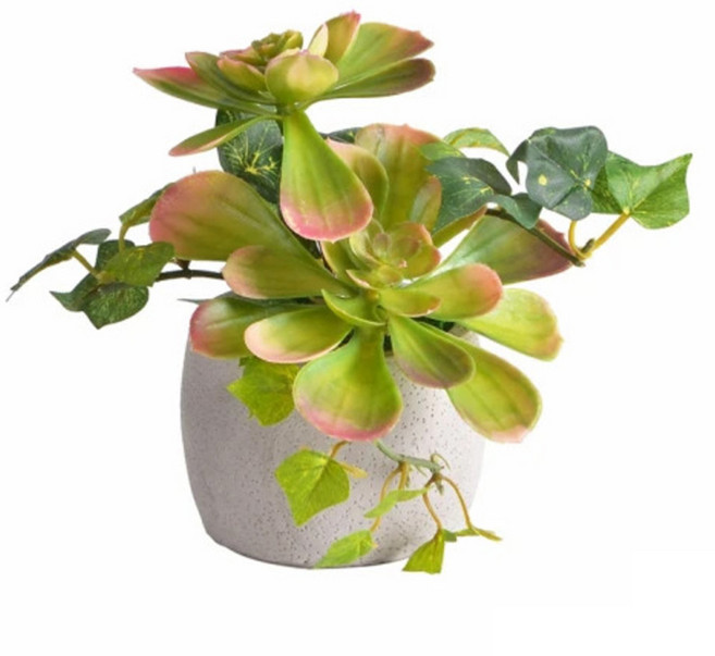 Meric Garden 高仿真多肉植物療癒手工水泥小盆栽, 石蓮, 1個