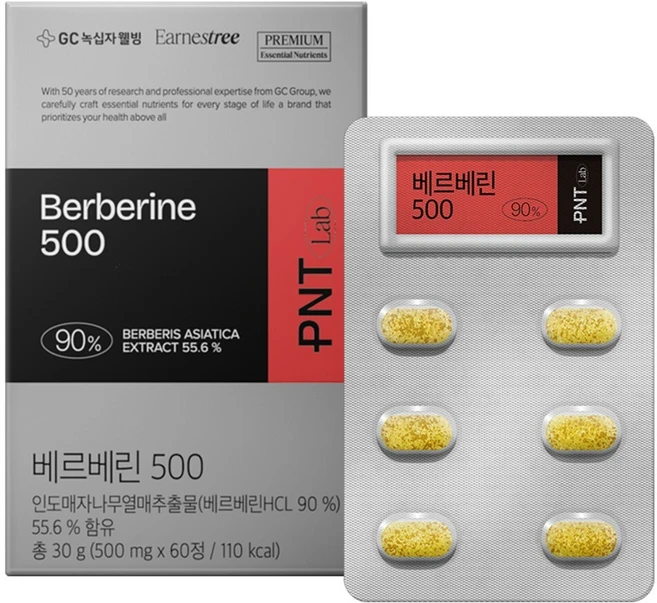 피엔티 베르베린 500, 60정, 1개 - 쿠팡